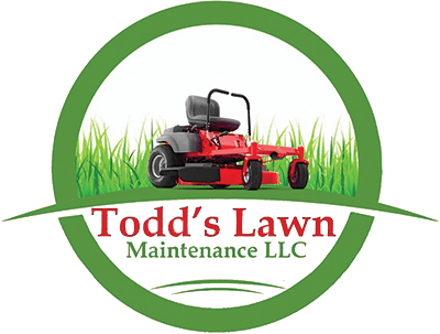 toddlogo