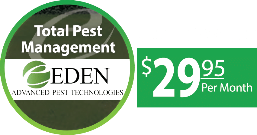 management_price management_price