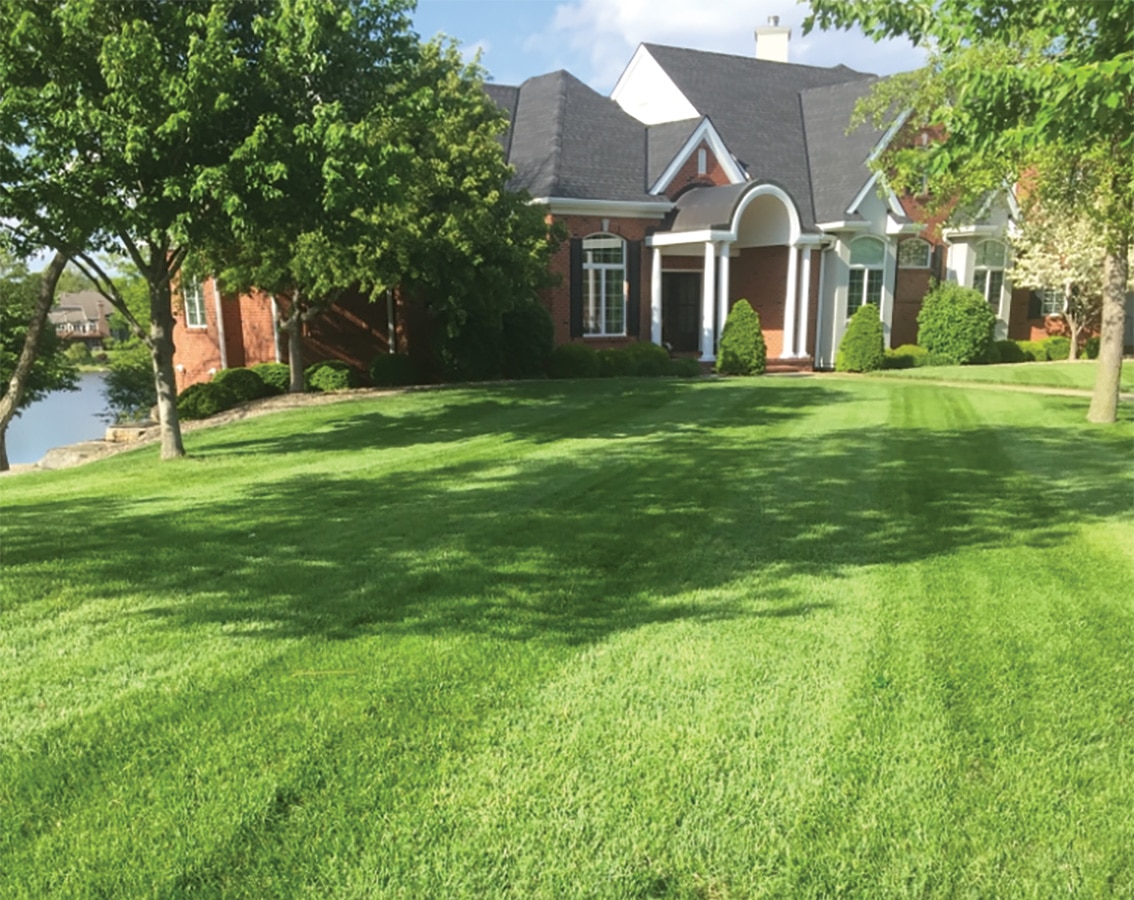 Lawn Services in Country Club, MO | Lees Lawn Care