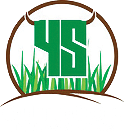 LOGO_FOOTER