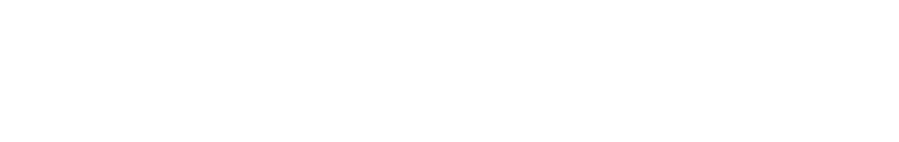 write in signature 2