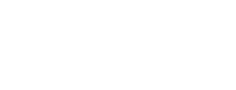logoWhite