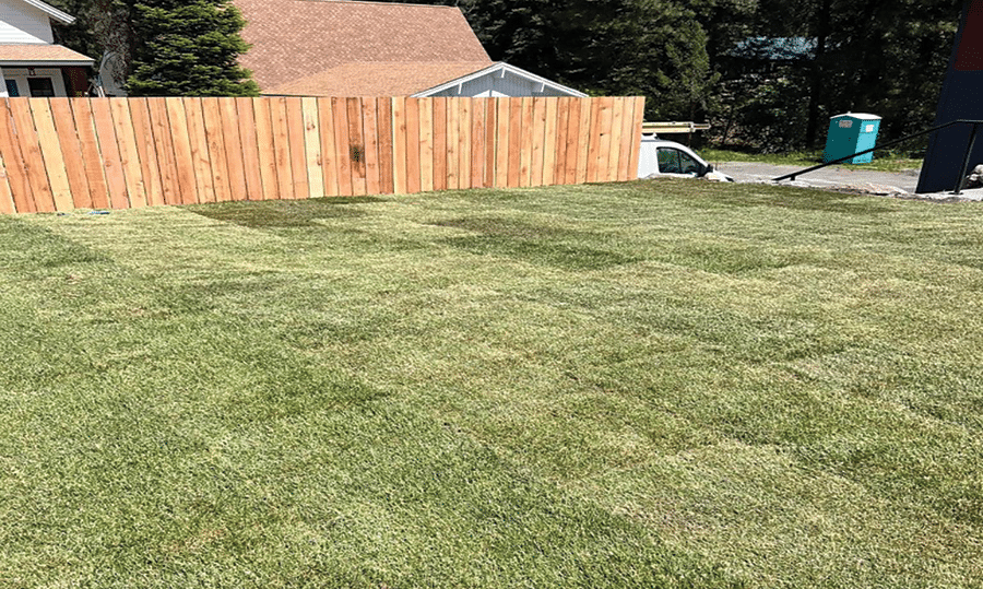 yard