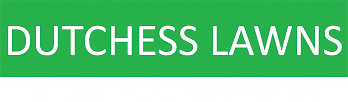 Logo new Logo new
