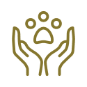 icon1 icon1