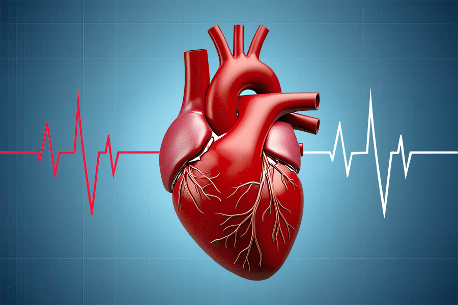 heart illustration heart illustration