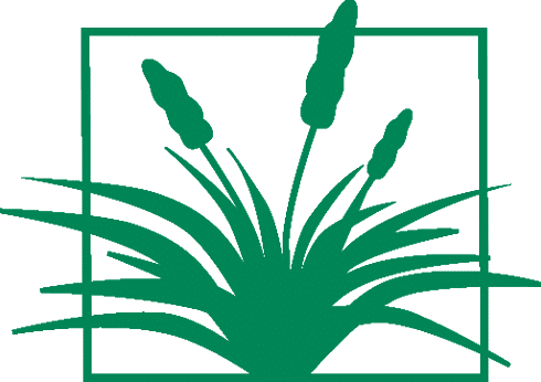 logo-icon