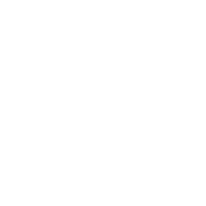 1icon