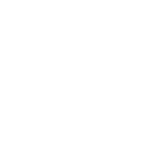 2icon