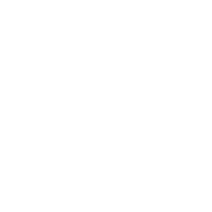 3icon