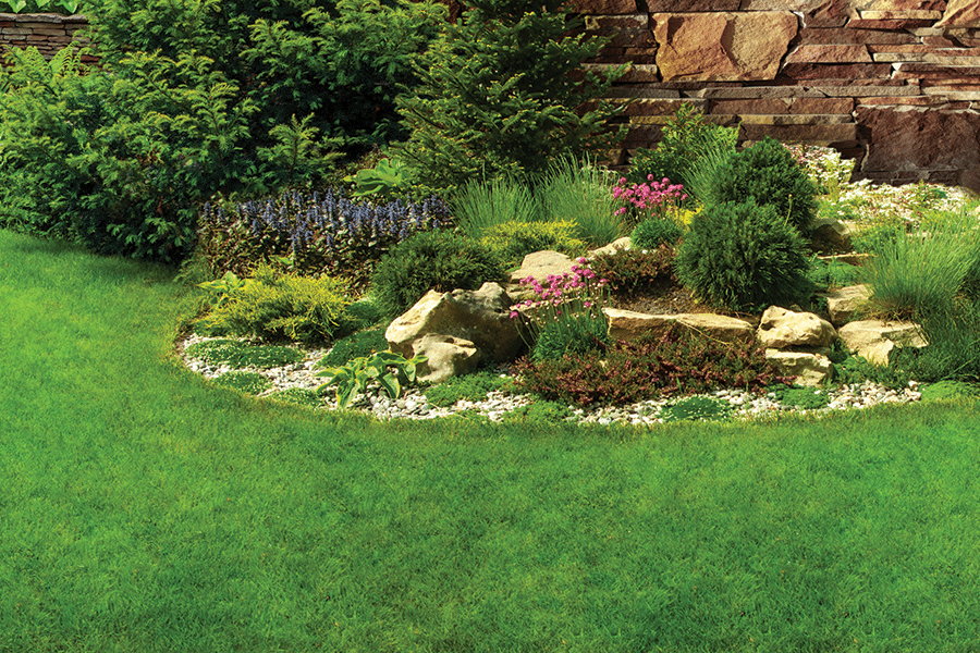 Lawn