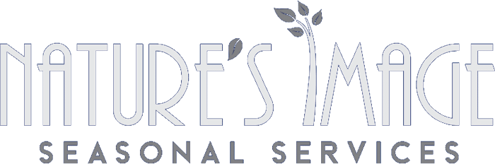 White logo