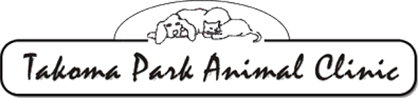 logo logo