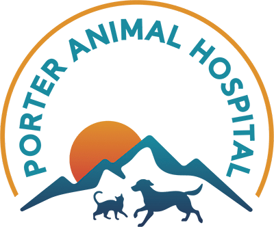 Logo Logo