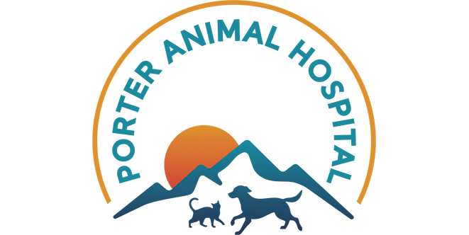new logo new logo