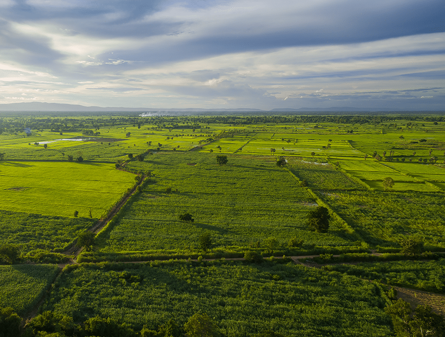land