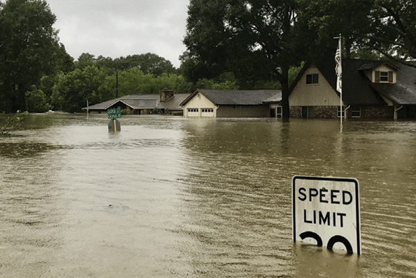 flood flood