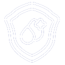 icon1 icon1