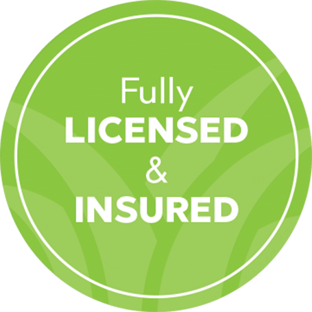 license-insured