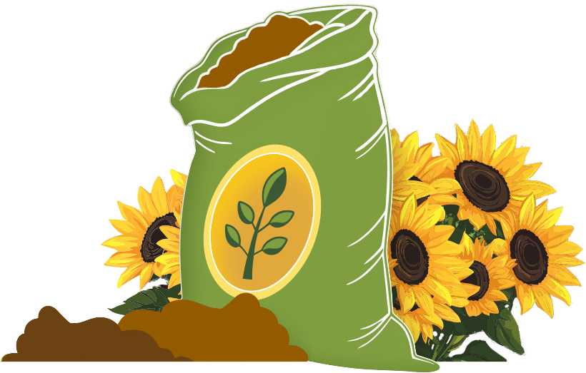 sunflower_fert sunflower_fert