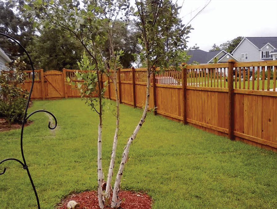 backyard backyard