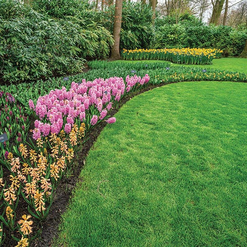 garden garden
