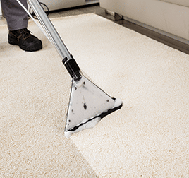 carpet cleaning